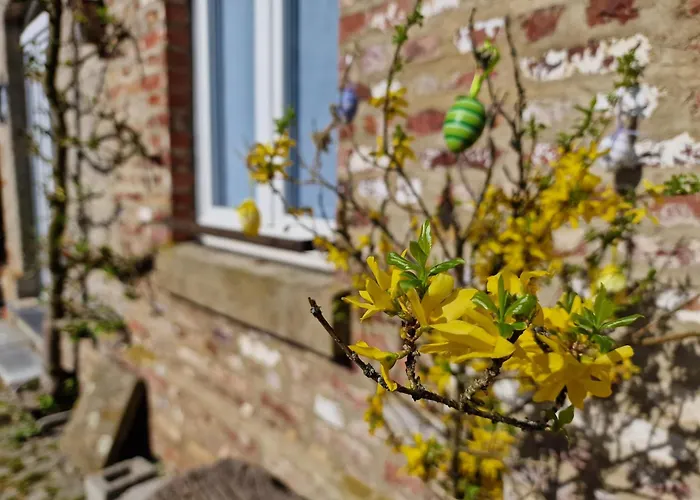 Hotel Ulenspiegel 2*